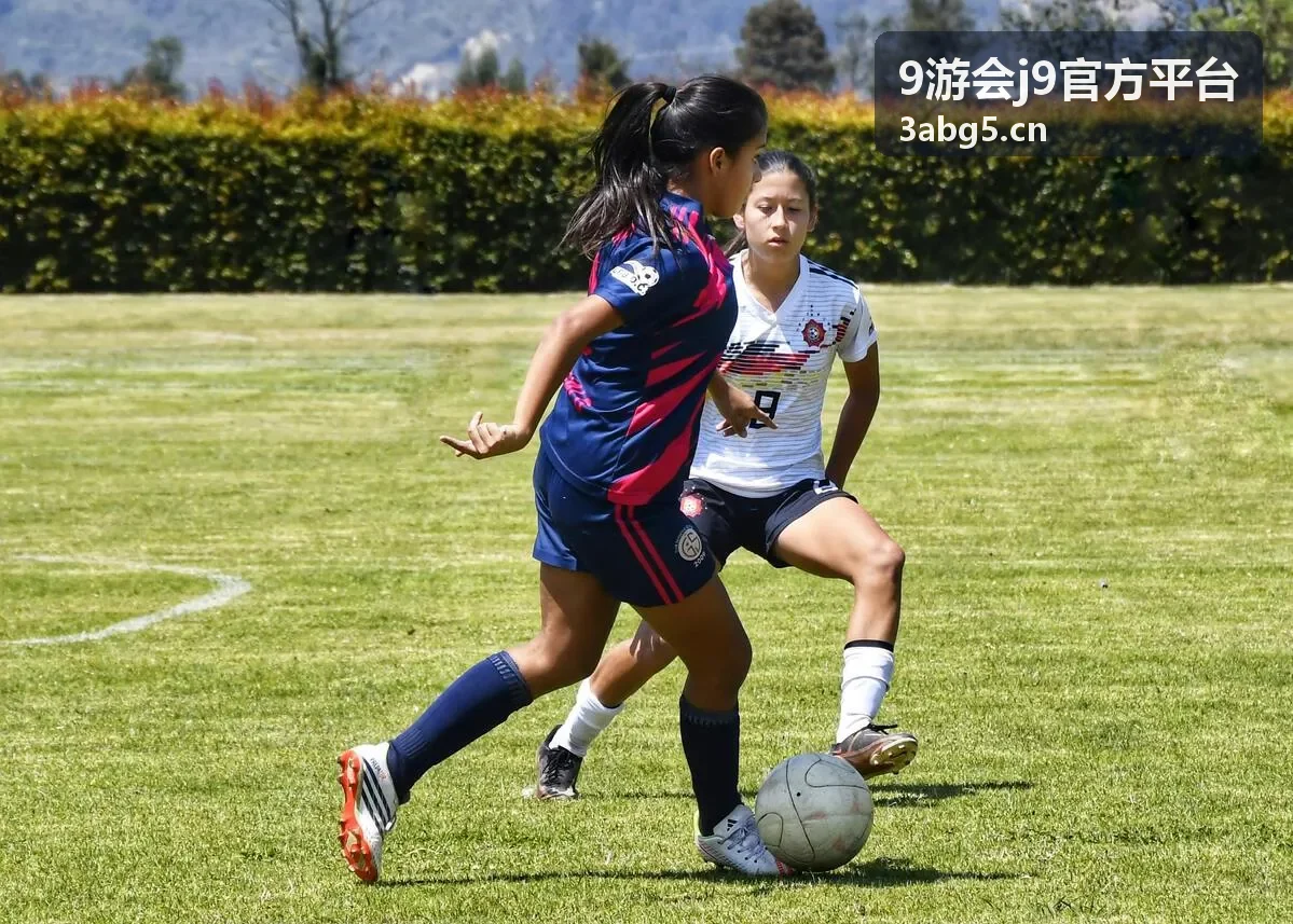 9游会j9官方平台规则条款核对场景