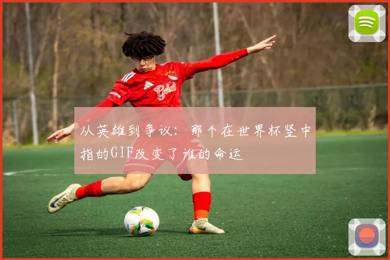 从英雄到争议：那个在世界杯竖中指的GIF改变了谁的命运