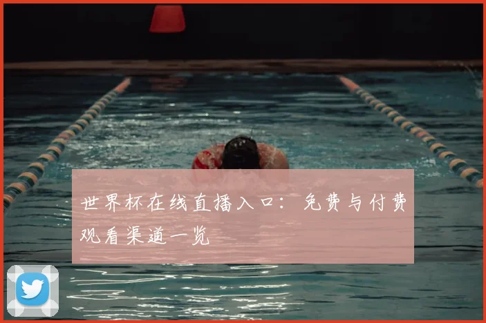世界杯在线直播入口：免费与付费观看渠道一览