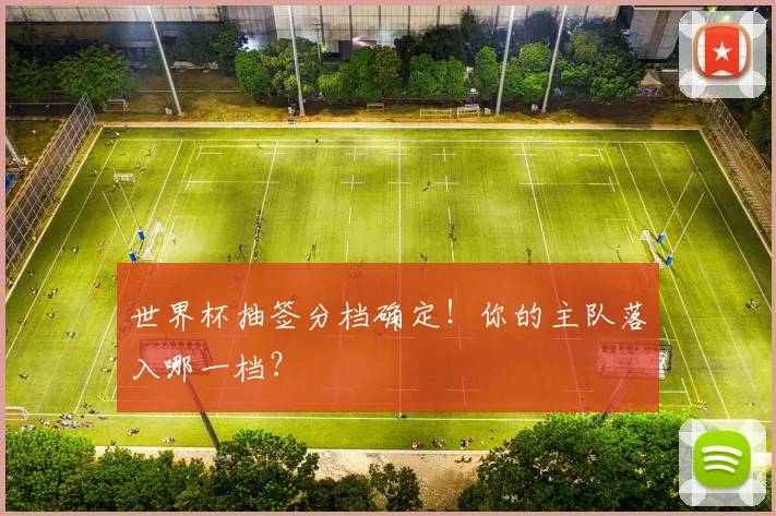 世界杯抽签分档确定！你的主队落入哪一档？