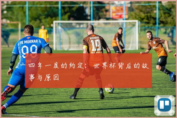 四年一度的约定：世界杯背后的故事与原因