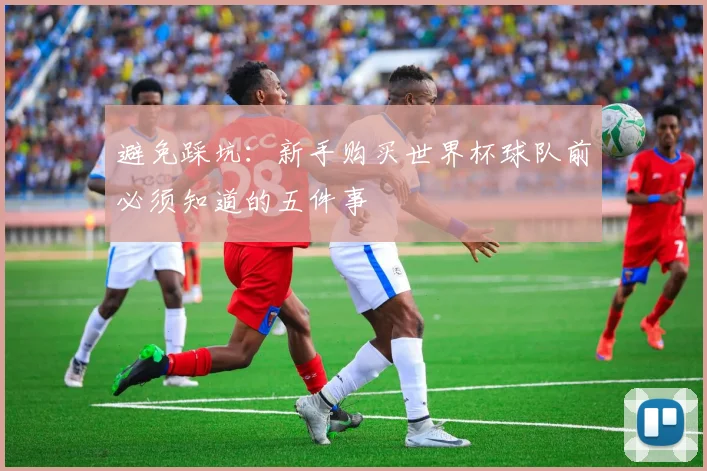 避免踩坑：新手购买世界杯球队前必须知道的五件事