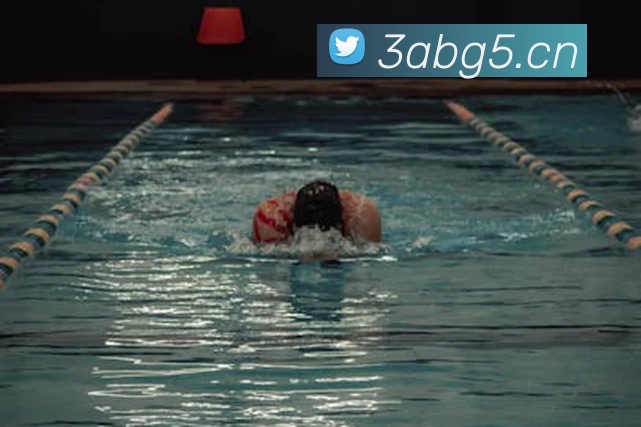 乐鱼官方在线登录入口APP 高清赛事图